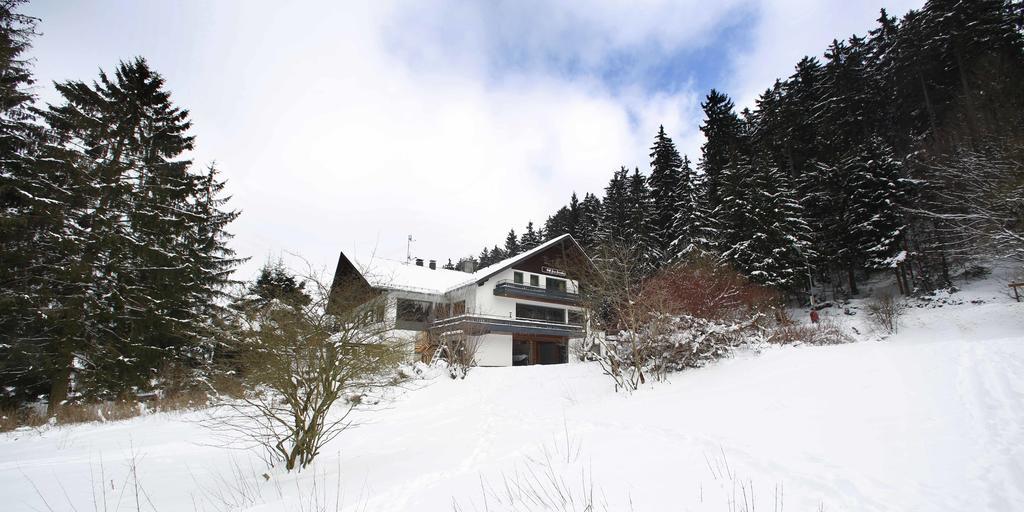 Hotel-Pension zum Paradies Willingen  Bagian luar foto