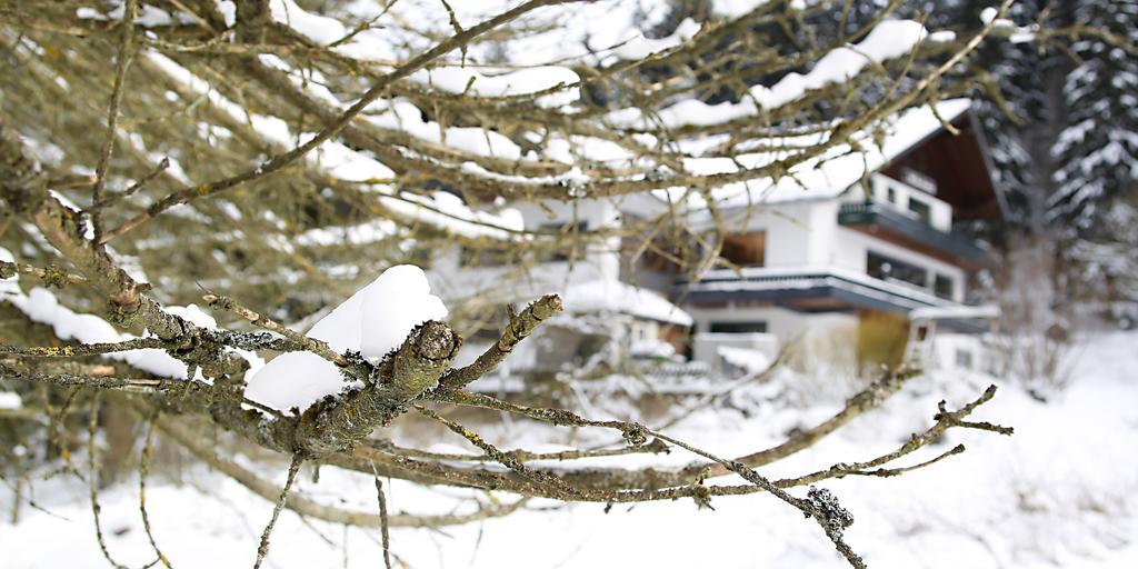 Hotel-Pension zum Paradies Willingen  Bagian luar foto