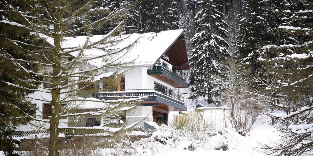 Hotel-Pension zum Paradies Willingen  Bagian luar foto