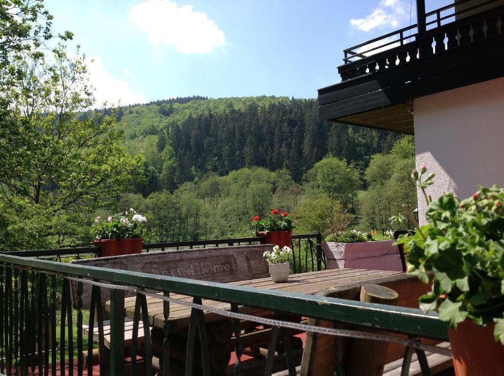 Hotel-Pension zum Paradies Willingen  Bagian luar foto